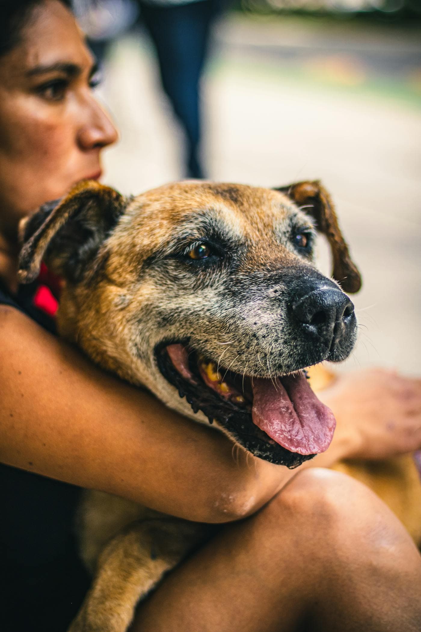 A pet owner embracing their dog